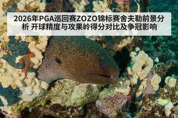 2026年PGA巡回赛ZOZO锦标赛舍夫勒前景分析 开球精度与攻果岭得分对比及争冠影响